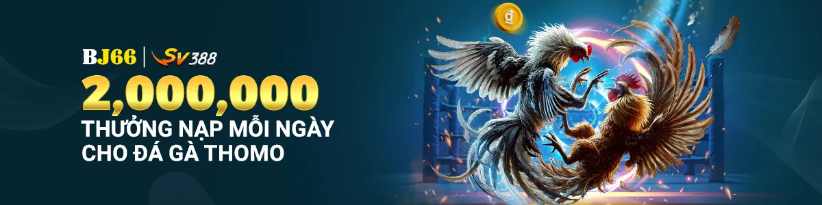 Tổng quan về các nền tảng chơi game trực tuyến đáng tin cậy được xếp hạng God66 - God66