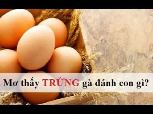 Hệ thống An ninh và Xử lý Sự cố 1Xbit - 1Xbit