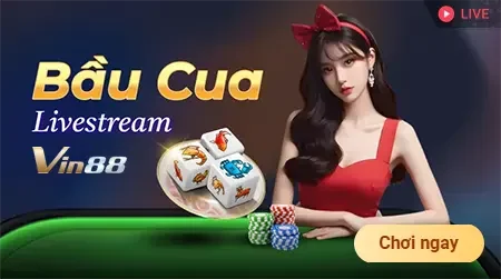 Người chơi cá cược cần chú ý điều gì khi đăng nhập vào Fv88? - Fv88