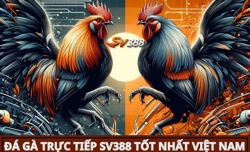 Công ty sẽ triển khai một chiến dịch quảng bá khi trò chơi ra mắt, tặng 50000 vật phẩm chất lượng M788 - M788