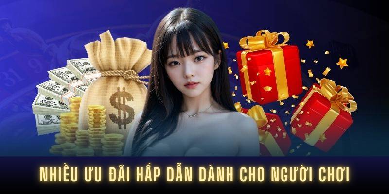 Tần suất bảo trì của Công ty trò chơi Dd7 - Dd7