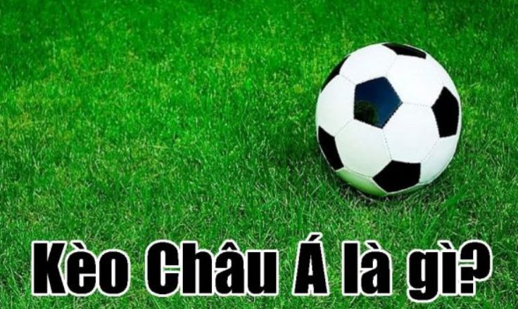 Tuyển chọn các trò chơi đạt xếp hạng 88Go cao nhất - 88Go