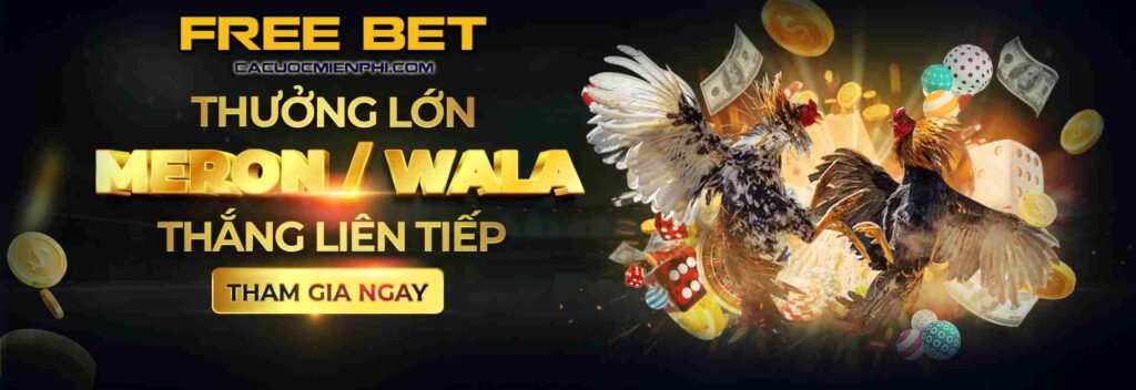 Trang web chơi game trực tuyến Dk88 an toàn và chất lượng cao - Dk88