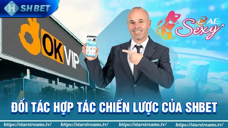 Tổng quan về các nhà cái và người chơi cấp Acb8 tại Singapore - Acb8
