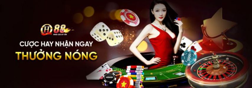 Tổng quan về các hoạt động kinh doanh của Công ty Giải trí Ko66 - Ko66