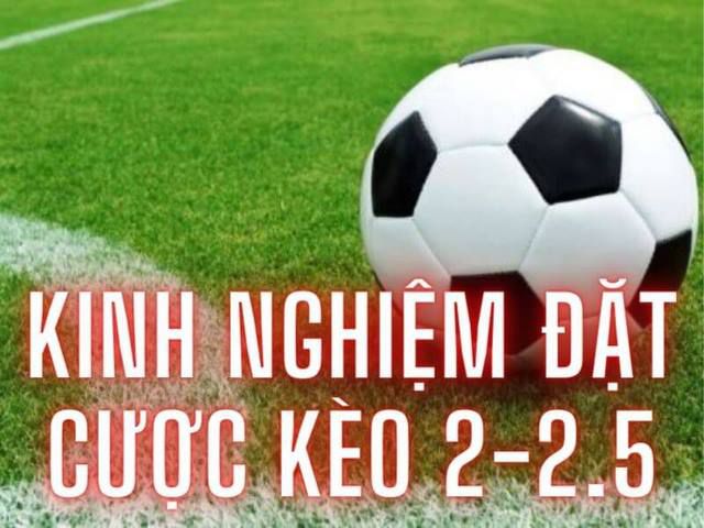 Giải đấu đá gà cấp 126Bet sử dụng phương tiện công nghệ - 126Bet