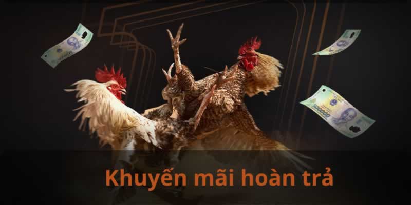 Thành viên 33King được hưởng nhiều ưu đãi hấp dẫn - 33King