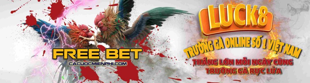 Tôi đăng ký tham gia Vnq8 Live như thế nào? - Vnq8