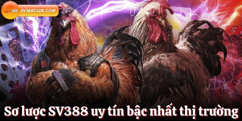 Hồ sơ Công ty Game Ok365 Việt Nam - Ok365