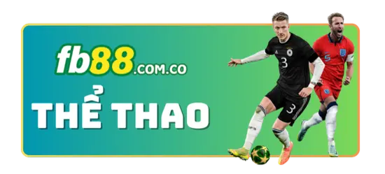 Giải thích sức hút mạnh mẽ của D9bet Gaming đối với người chơi cá cược - D9bet