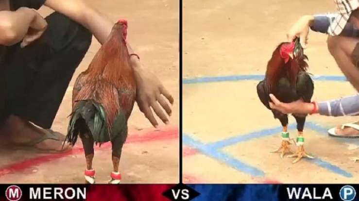 Trải nghiệm chơi game tuyệt vời nhất Tk88 - Tk88