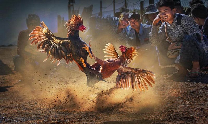Liệt kê các hạng mục phổ biến nhất cho xếp hạng Mibet - Mibet